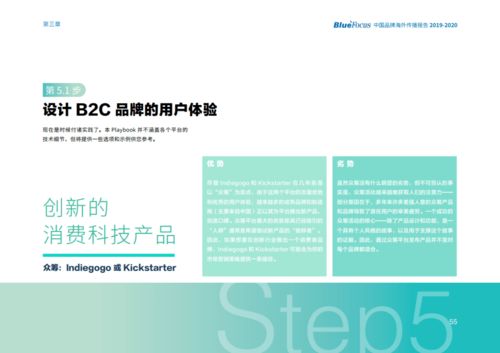 中国广告协会与蓝色光标联合发布 2019 2020中国品牌海外传播报告